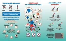 текст